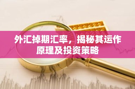 外汇掉期汇率，揭秘其运作原理及投资策略