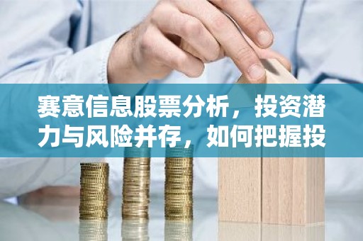 赛意信息股票分析，投资潜力与风险并存，如何把握投资时机？