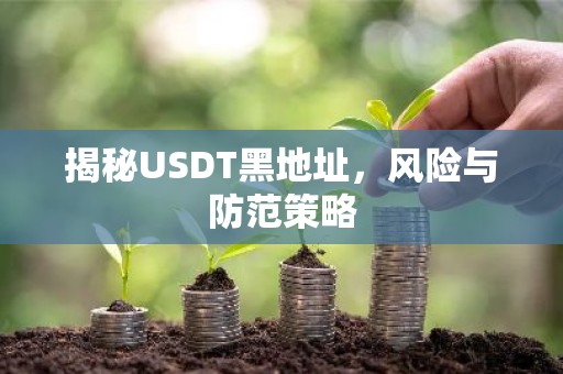 揭秘USDT黑地址，风险与防范策略