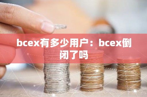 bcex有多少用户：bcex倒闭了吗