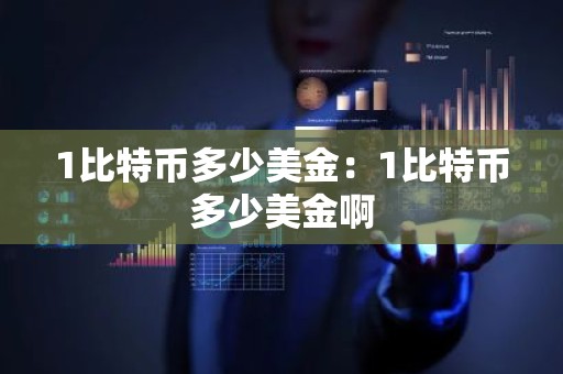 1比特币多少美金：1比特币多少美金啊