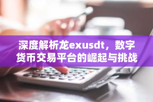 深度解析龙exusdt，数字货币交易平台的崛起与挑战