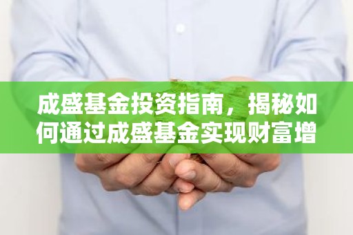 成盛基金投资指南，揭秘如何通过成盛基金实现财富增值？