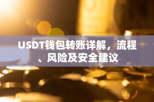 USDT钱包转账详解，流程、风险及安全建议