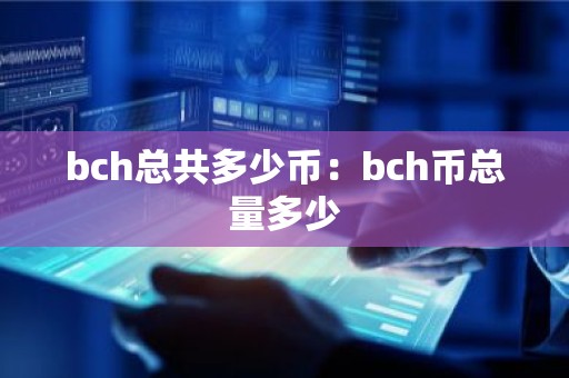 bch总共多少币：bch币总量多少