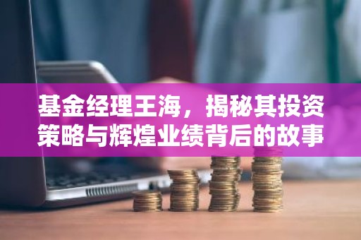 基金经理王海，揭秘其投资策略与辉煌业绩背后的故事