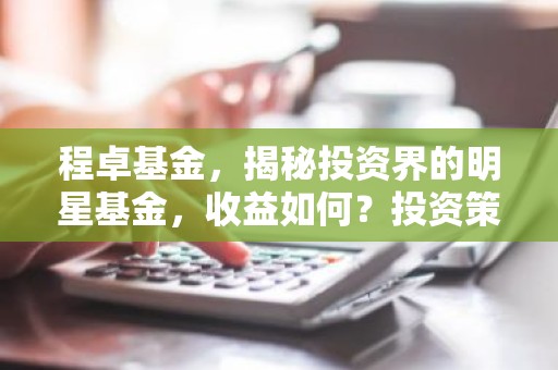 程卓基金，揭秘投资界的明星基金，收益如何？投资策略是什么？