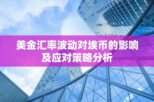 美金汇率波动对埃币的影响及应对策略分析