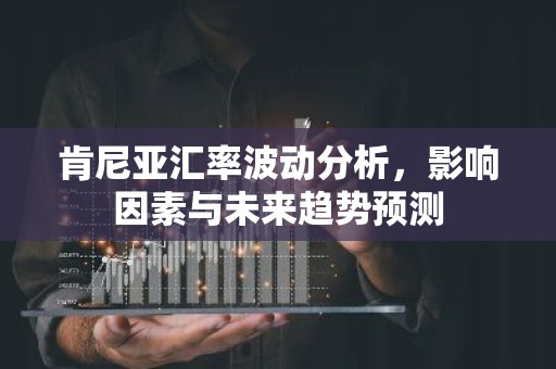 肯尼亚汇率波动分析，影响因素与未来趋势预测