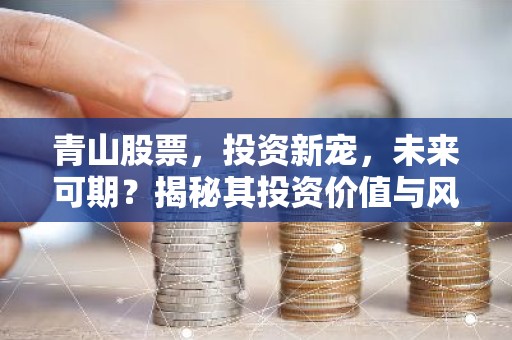 青山股票，投资新宠，未来可期？揭秘其投资价值与风险！