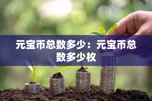 元宝币总数多少：元宝币总数多少枚