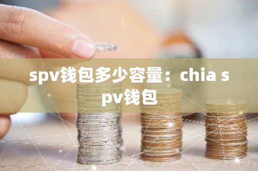 spv钱包多少容量：chia spv钱包