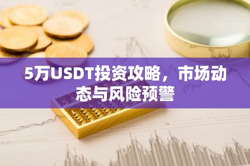 5万USDT投资攻略，市场动态与风险预警