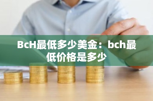 BcH最低多少美金：bch最低价格是多少