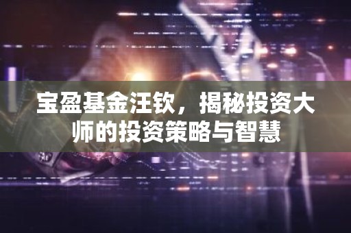 宝盈基金汪钦，揭秘投资大师的投资策略与智慧