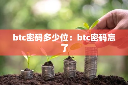 btc密码多少位：btc密码忘了