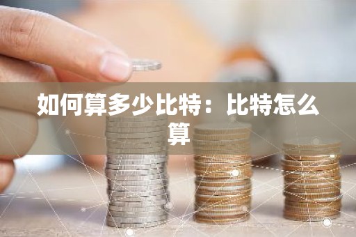 如何算多少比特：比特怎么算