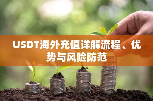 USDT海外充值详解流程、优势与风险防范