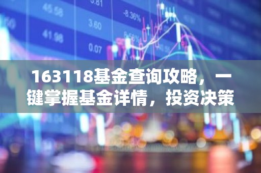 163118基金查询攻略，一键掌握基金详情，投资决策更明智！