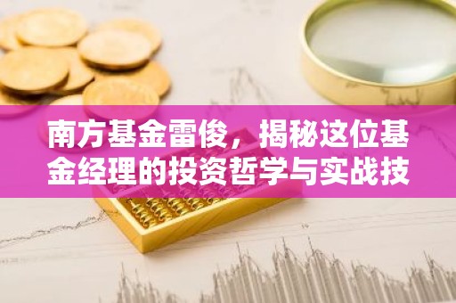 南方基金雷俊，揭秘这位基金经理的投资哲学与实战技巧