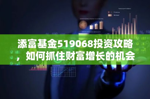 添富基金519068投资攻略，如何抓住财富增长的机会？
