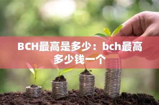 BCH最高是多少：bch最高多少钱一个
