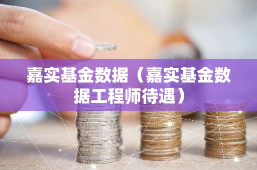 嘉实基金数据（嘉实基金数据工程师待遇）