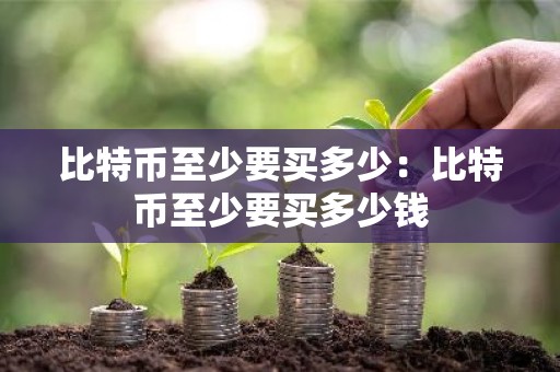 比特币至少要买多少：比特币至少要买多少钱