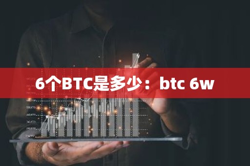 6个BTC是多少：btc 6w