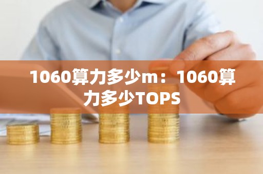 1060算力多少m：1060算力多少TOPS
