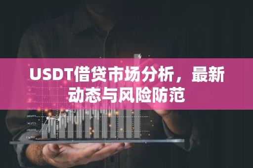 USDT借贷市场分析，最新动态与风险防范