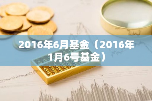 2016年6月基金（2016年1月6号基金）