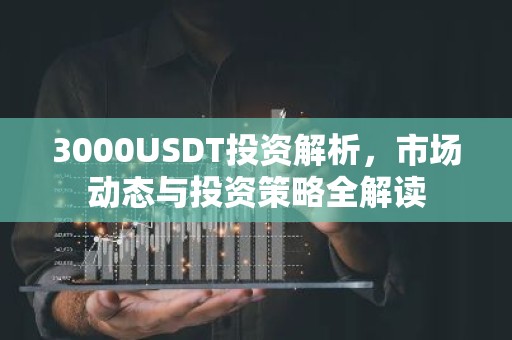 3000USDT投资解析，市场动态与投资策略全解读