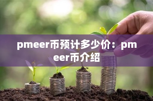 pmeer币预计多少价：pmeer币介绍