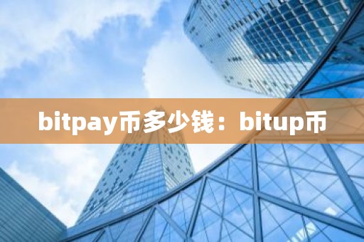 bitpay币多少钱：bitup币