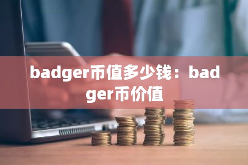 badger币值多少钱：badger币价值