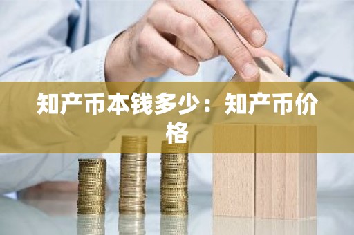 知产币本钱多少：知产币价格
