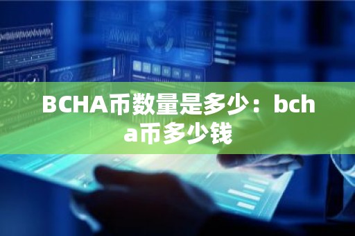 BCHA币数量是多少：bcha币多少钱