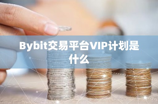 Bybit交易平台VIP计划是什么