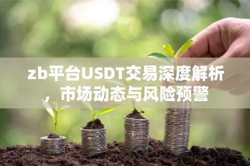 zb平台USDT交易深度解析，市场动态与风险预警