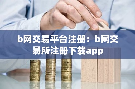 b网交易平台注册：b网交易所注册下载app