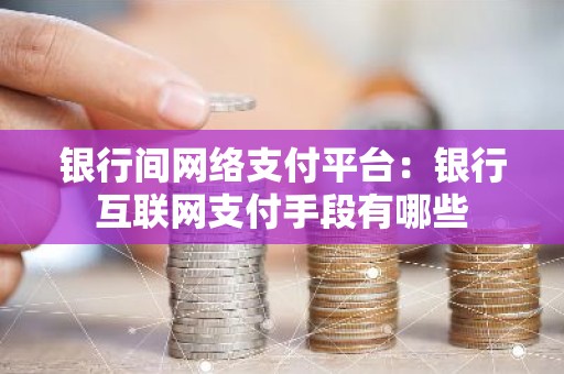 银行间网络支付平台：银行互联网支付手段有哪些