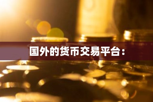国外的货币交易平台：