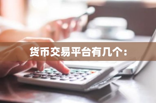 货币交易平台有几个：