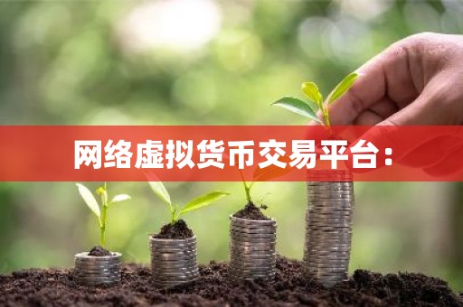 网络虚拟货币交易平台：