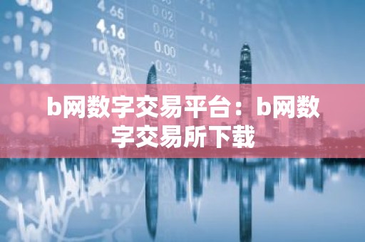 b网数字交易平台：b网数字交易所下载