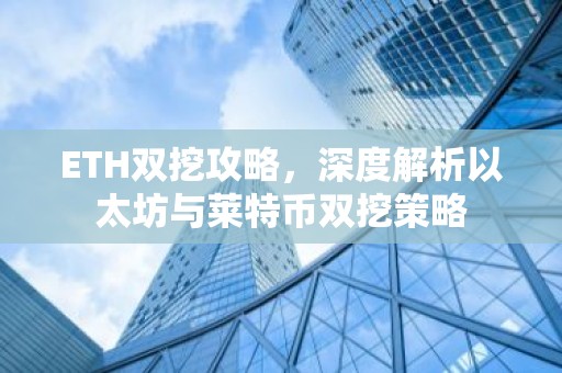 ETH双挖攻略，深度解析以太坊与莱特币双挖策略