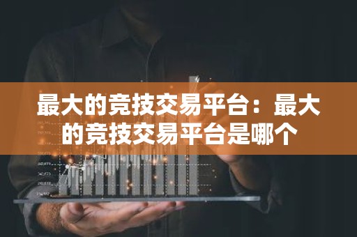 最大的竞技交易平台：最大的竞技交易平台是哪个