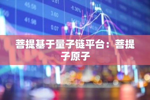 菩提基于量子链平台：菩提子原子
