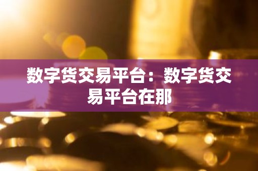 数字货交易平台：数字货交易平台在那